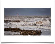 The Wrath of the Storm - Carol Sparkes
